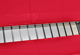Western Pintle Chain Conveyor