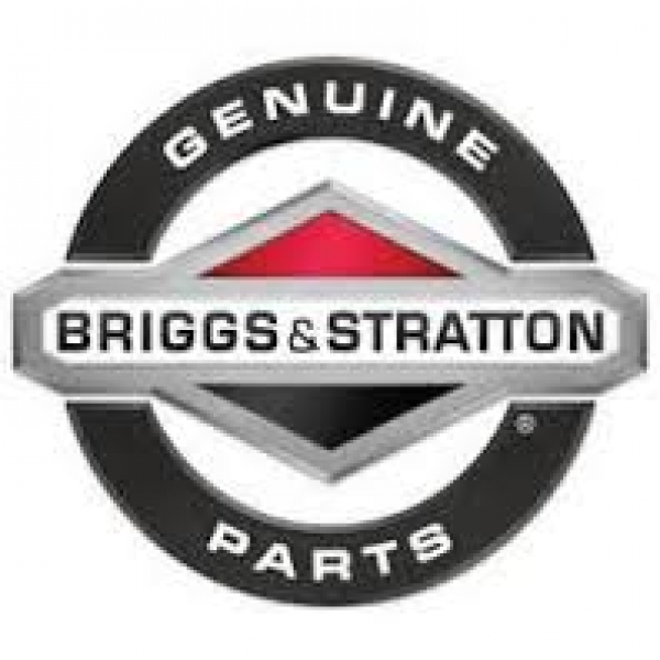 Briggs & Stratton 842697 Carburetor Overhaul Kit